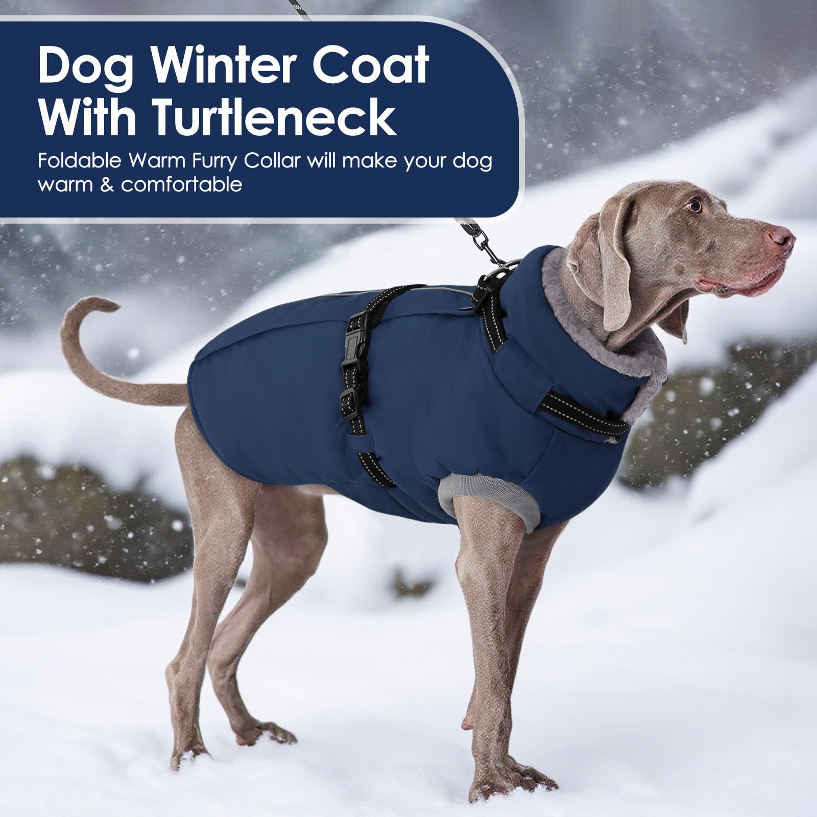 AOFITEE dog jacket waterproof outer shell protects against wind rain and snow
