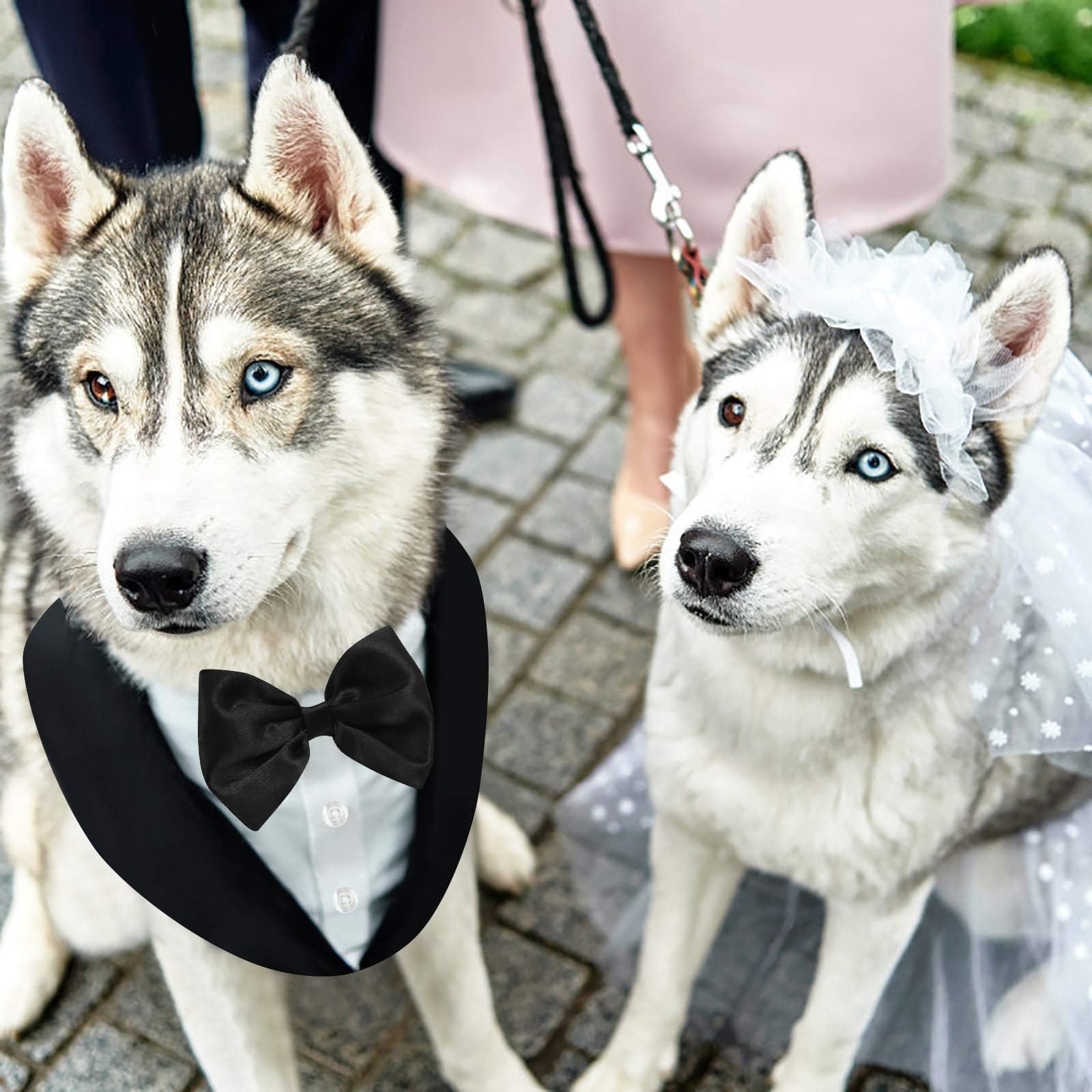 AOFITEE dog tuxedo size-chart helps match breeds accurately.