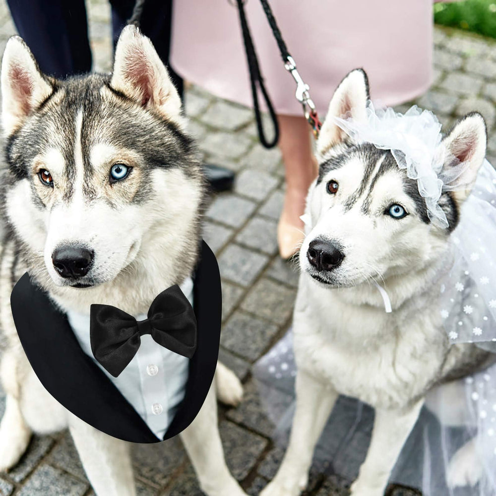AOFITEE dog tuxedo size-chart helps match breeds accurately.