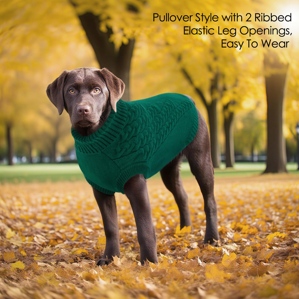 AOFITEE green holiday dog sweater ready for seasonal photos