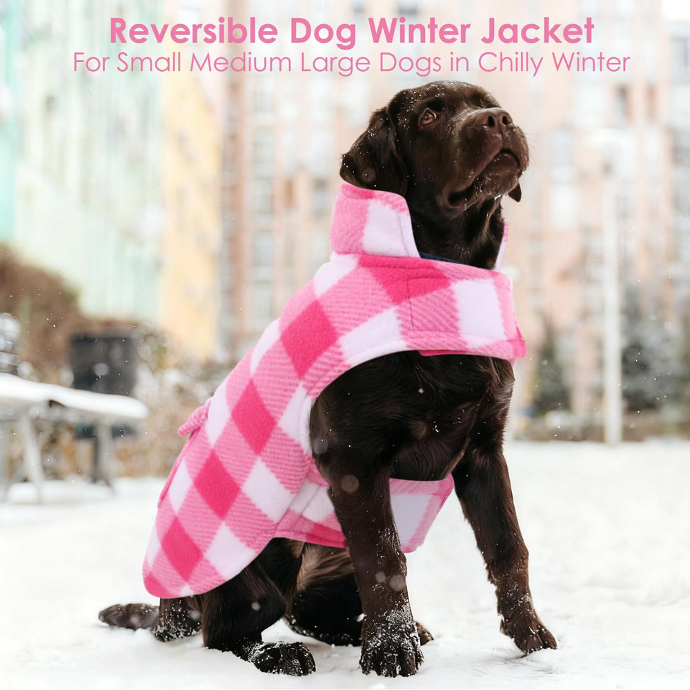 AOFITEE pink dog coat on a sunny stroll highlights warmth and fashion.
