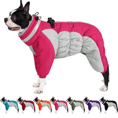 AOFITEE small dog coat warm on a dog during chilly morning strolls