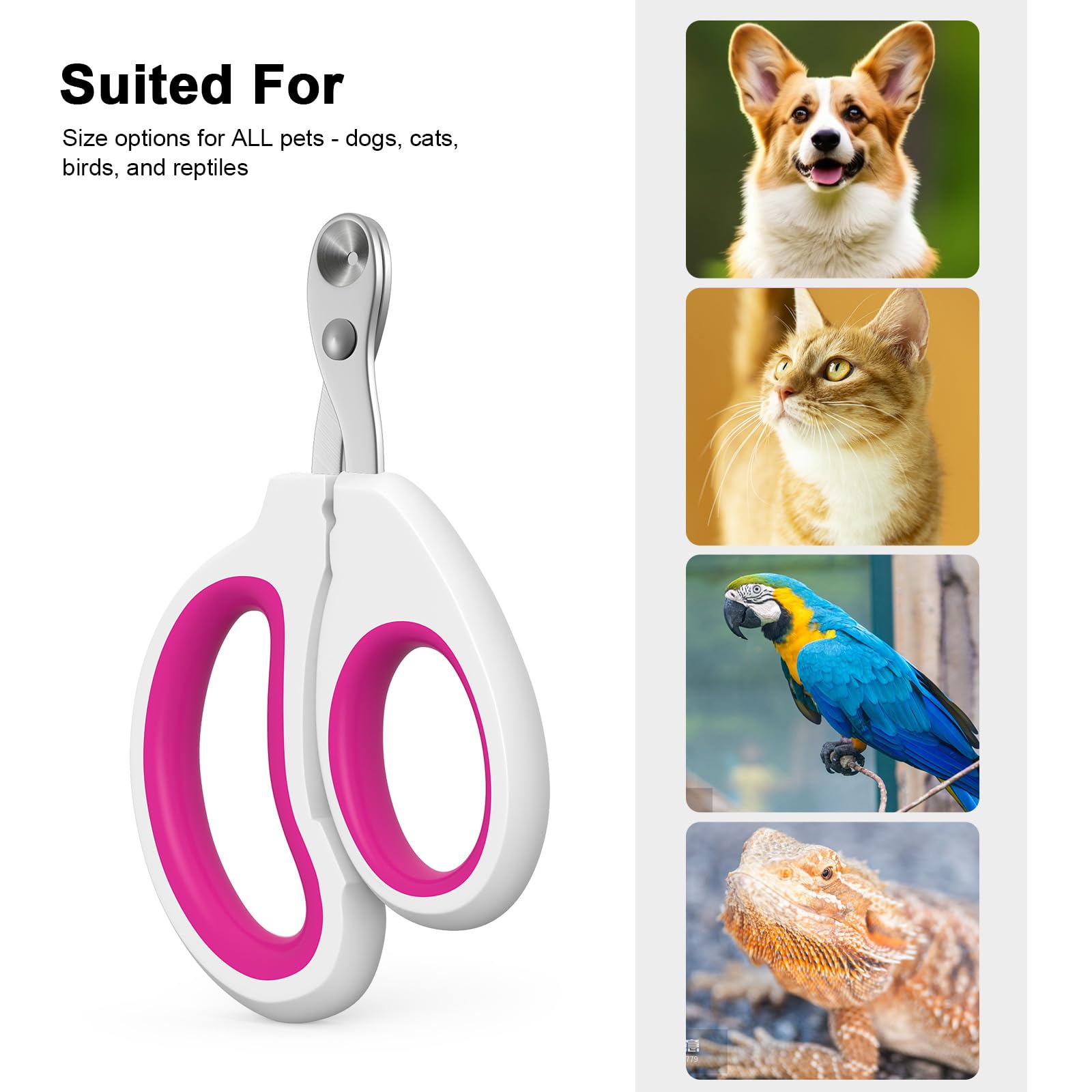 Aogeili portable nail clipper for at-home and on-the-go grooming