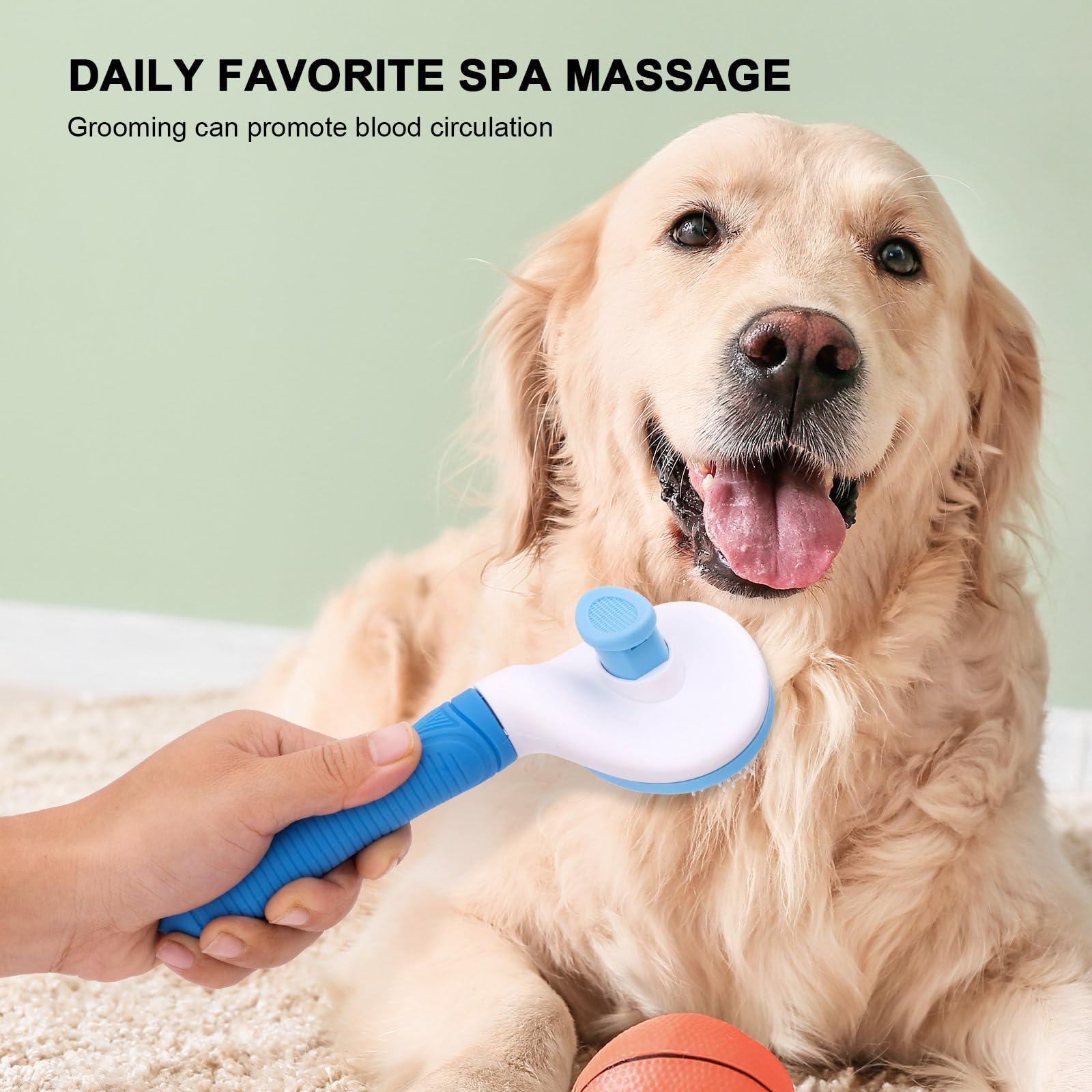 Aogeili slicker brush massaging bristles demonstrating skin-friendly brushing and coat care.