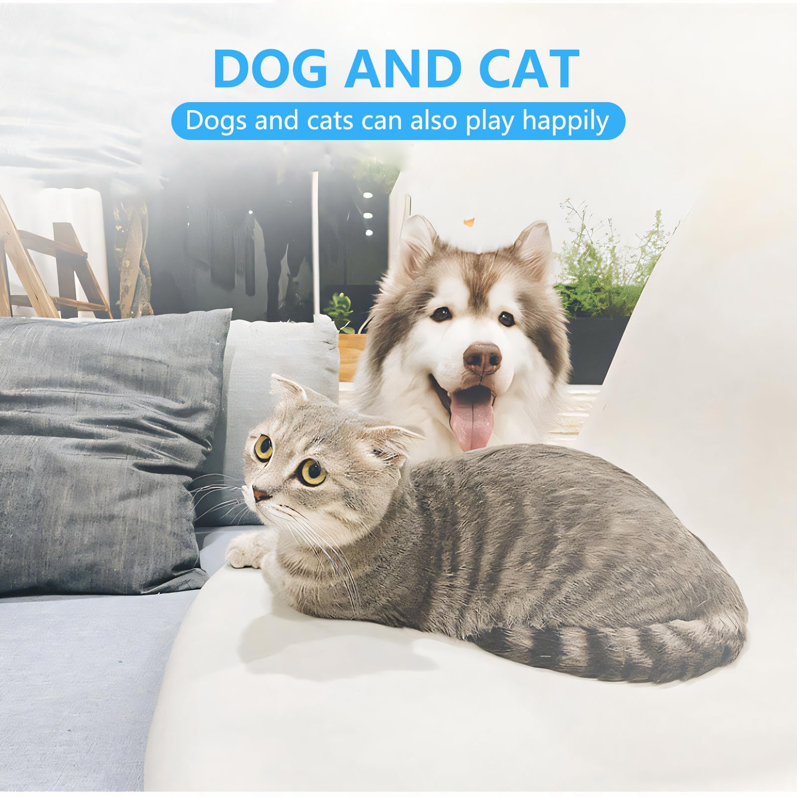 Aogeili small animal nail trimming use demonstrates versatility for many pets