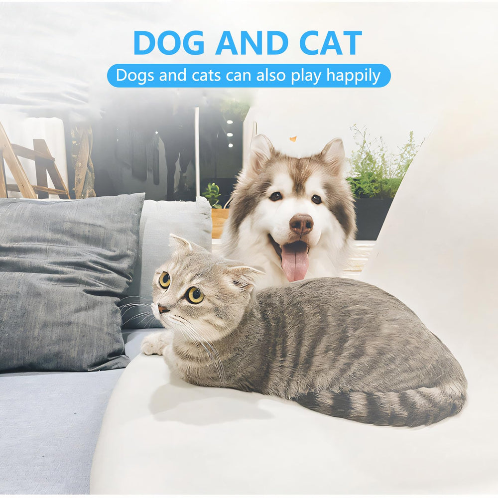 Aogeili small animal nail trimming use demonstrates versatility for many pets