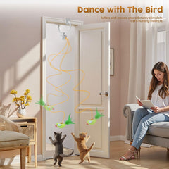 Aoioploa automatic play-rest rhythm offers quiet enrichment for shared spaces.