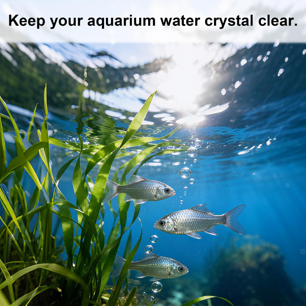 Aolleteau blue sponge filters support gentle biological filtration.