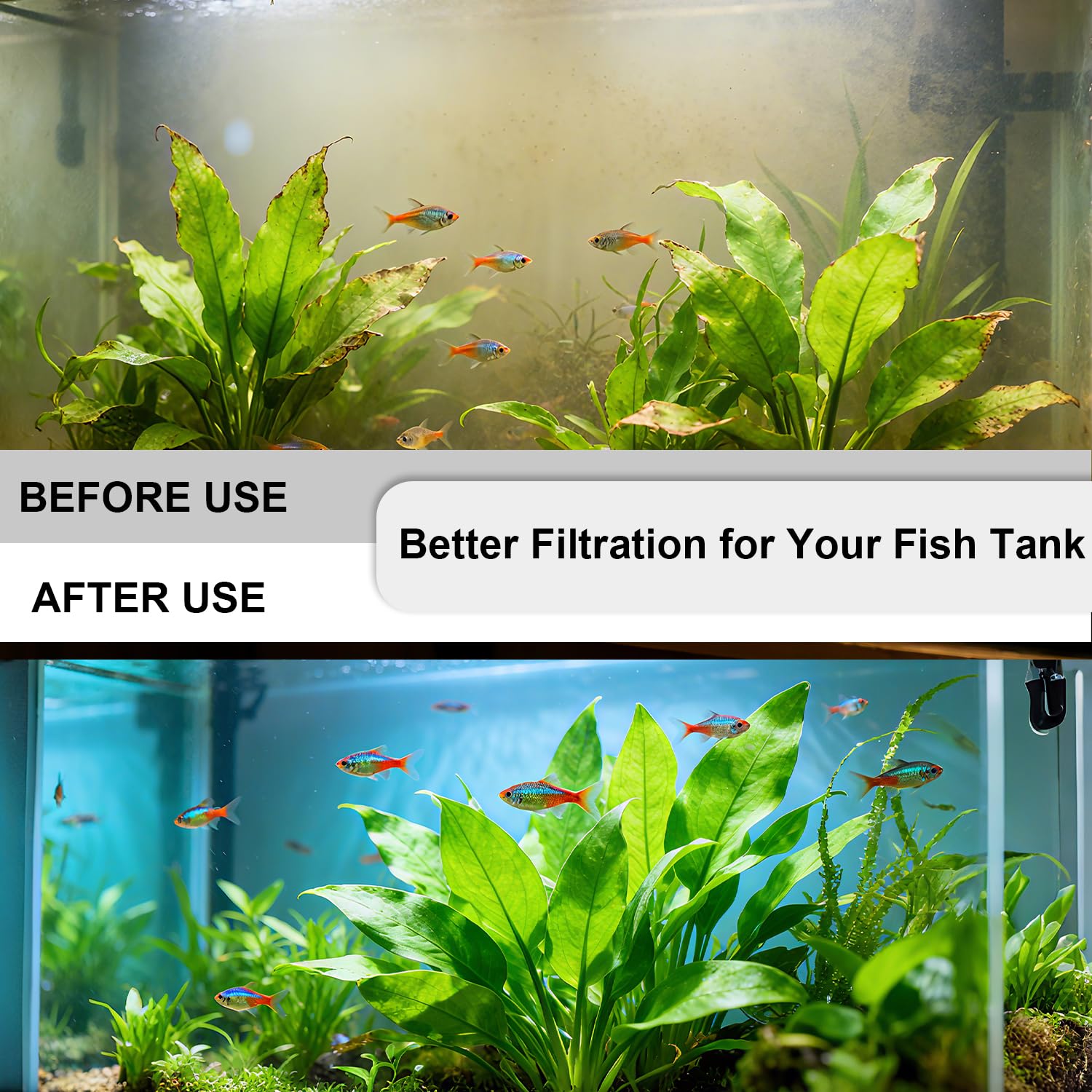 Aolleteau white pads trap fine particles for pristine water.