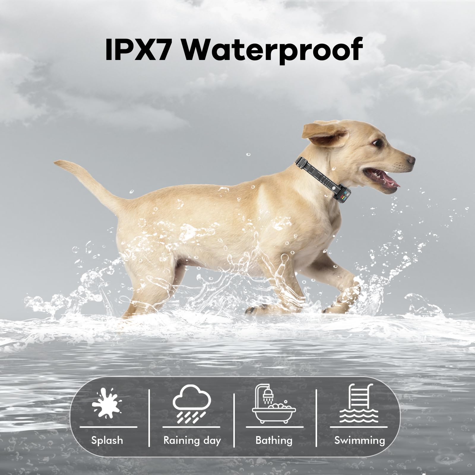 Aolulf AI dog shock collar is IPX7 waterproof for rain or splash.