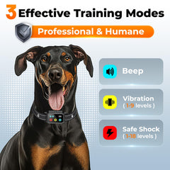 Aolulf collar with 3300ft range for safe distance training
