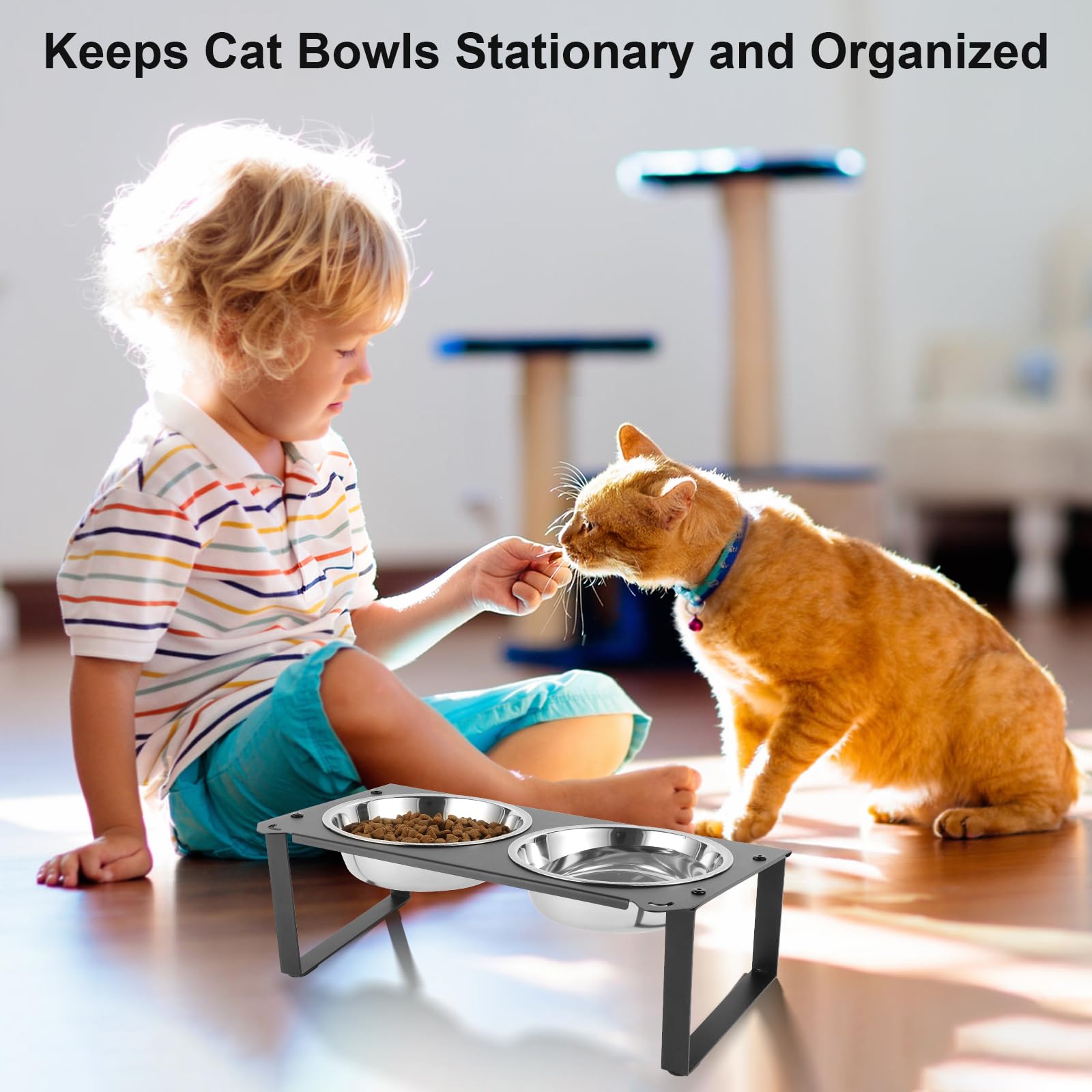 Aomafamzoy multi-pet feeding setup accommodates several pets at once.