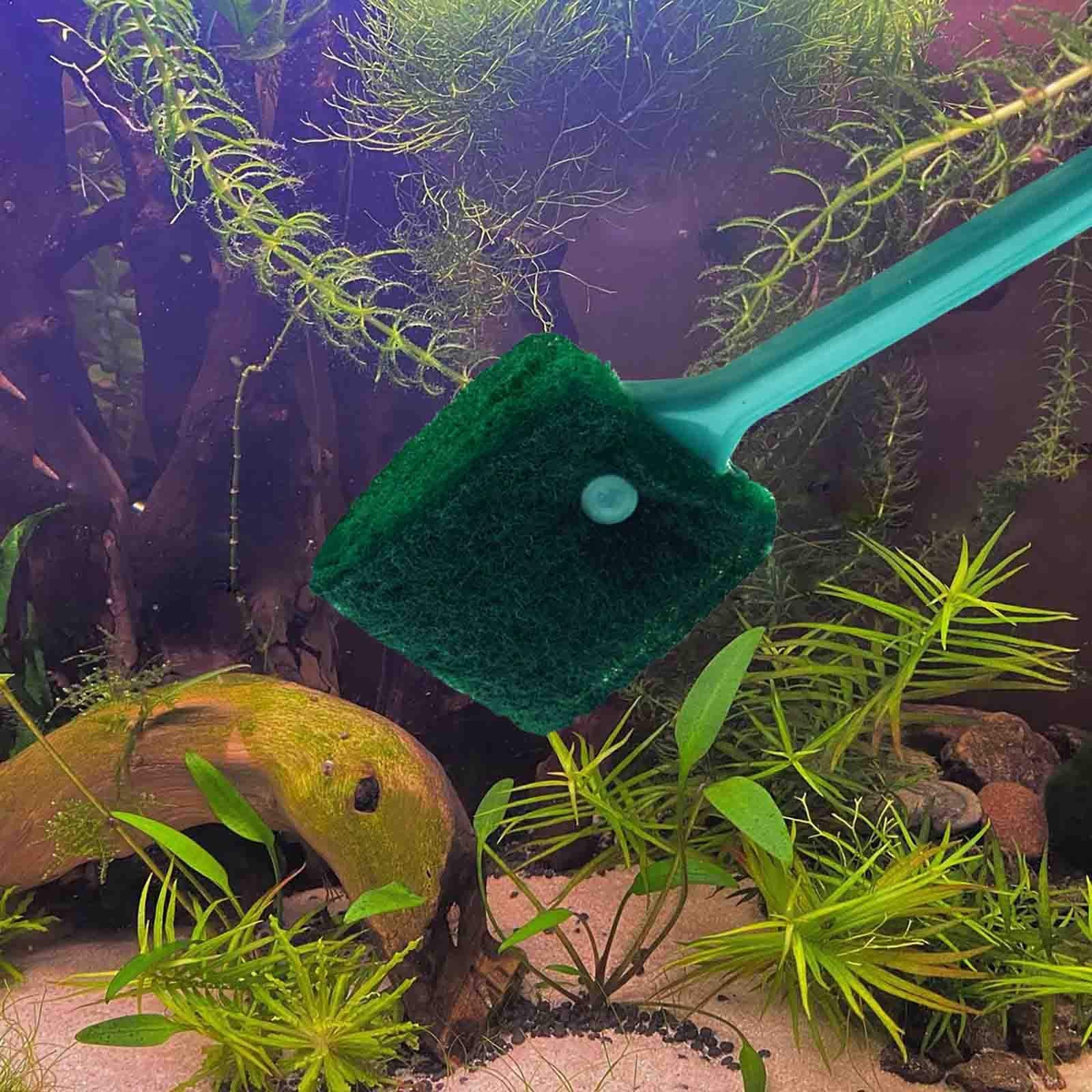 AOODOOM algae removal action on glass aquarium walls