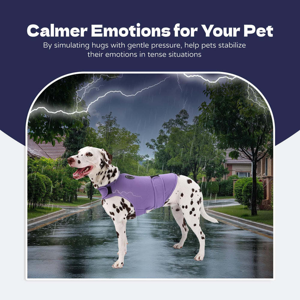 AOOLMOL dog anxiety vest in travel scenario for easy vet visits.