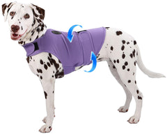 AOOLMOL dog anxiety vest worn on a dog for calming support during storms.