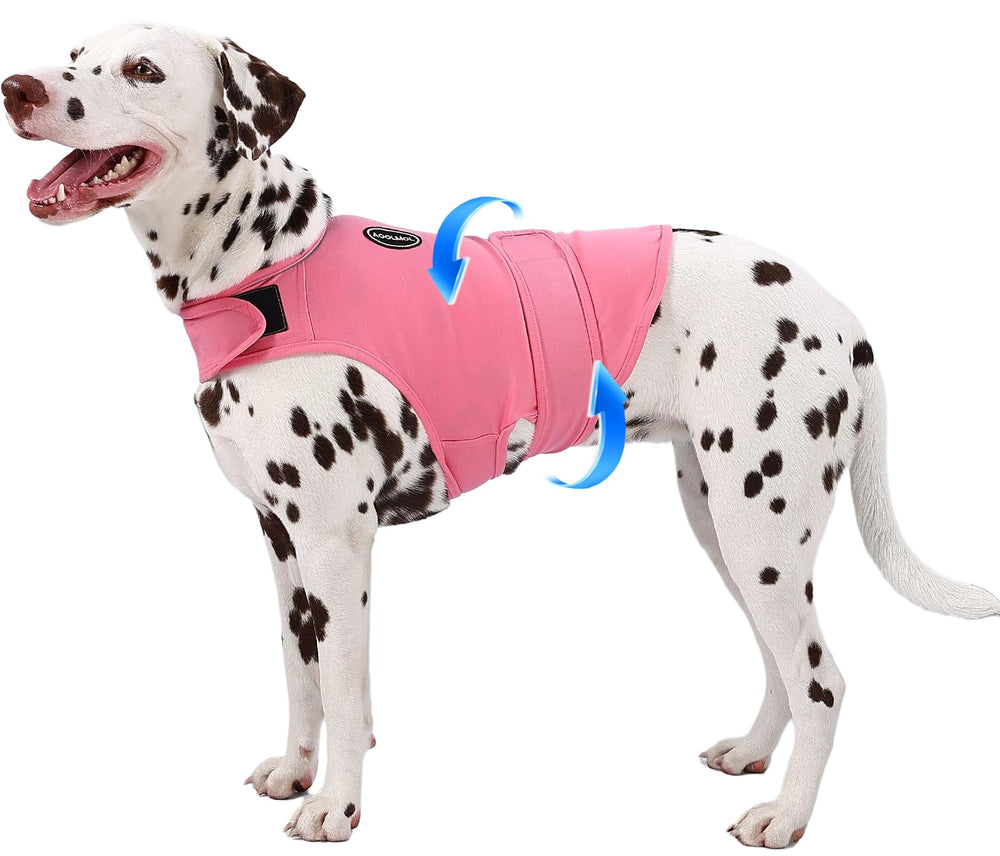 AOOLMOL dog anxiety vest worn on a calm dog during a thunderstorm.