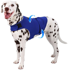 AOOLMOL dog anxiety vest wrapped on dog for soothing, snug support during storms.