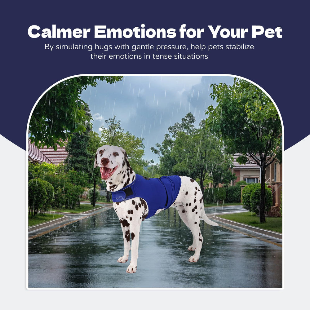 AOOLMOL dog calm during fireworks scenario with anxiety vest usage