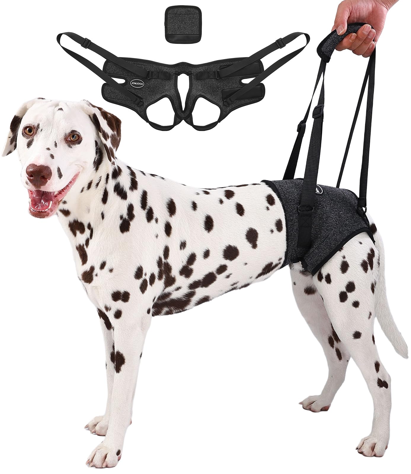 AOOLMOL dog sling rear leg harness supports mobility for aging dogs