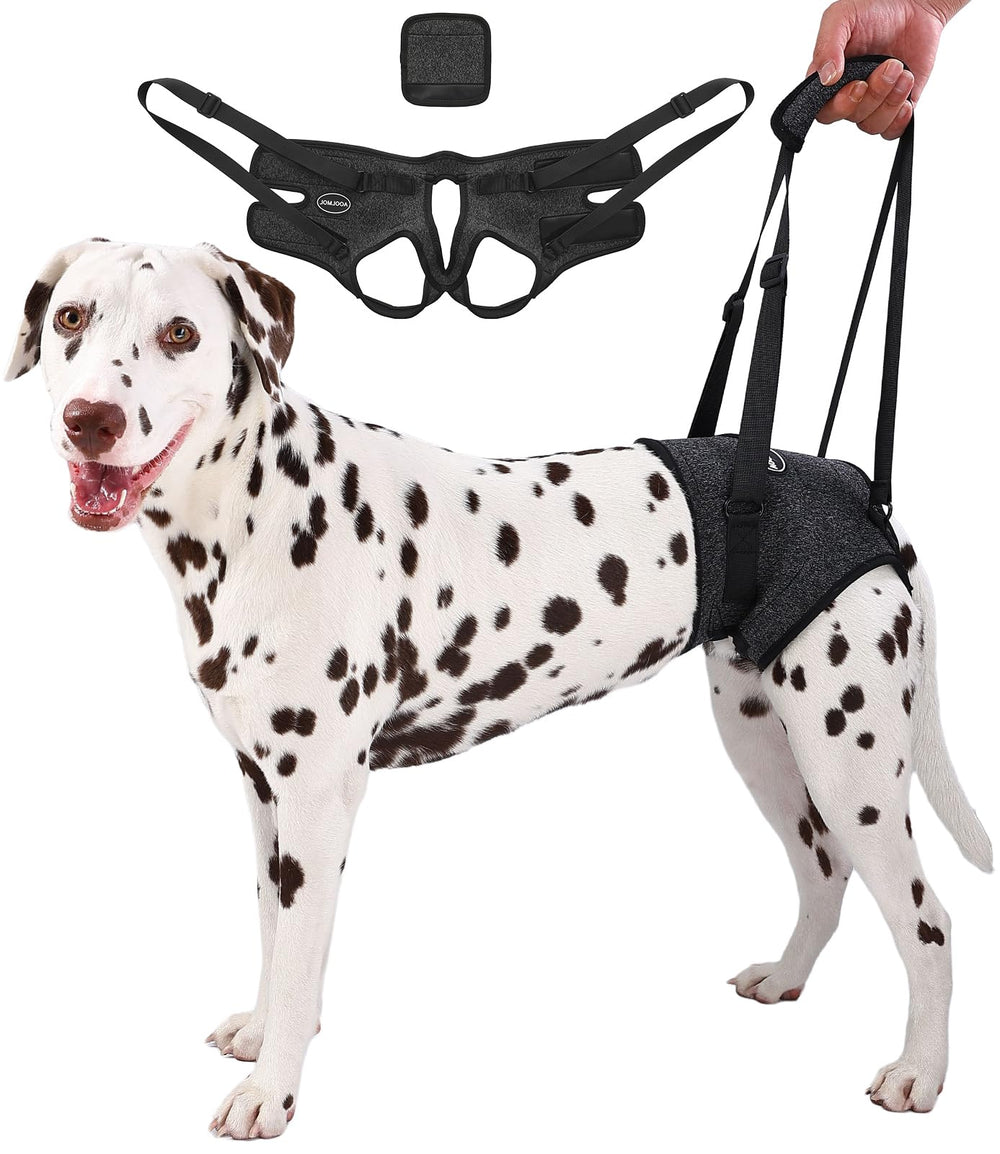 AOOLMOL dog sling rear leg harness supports mobility for aging dogs