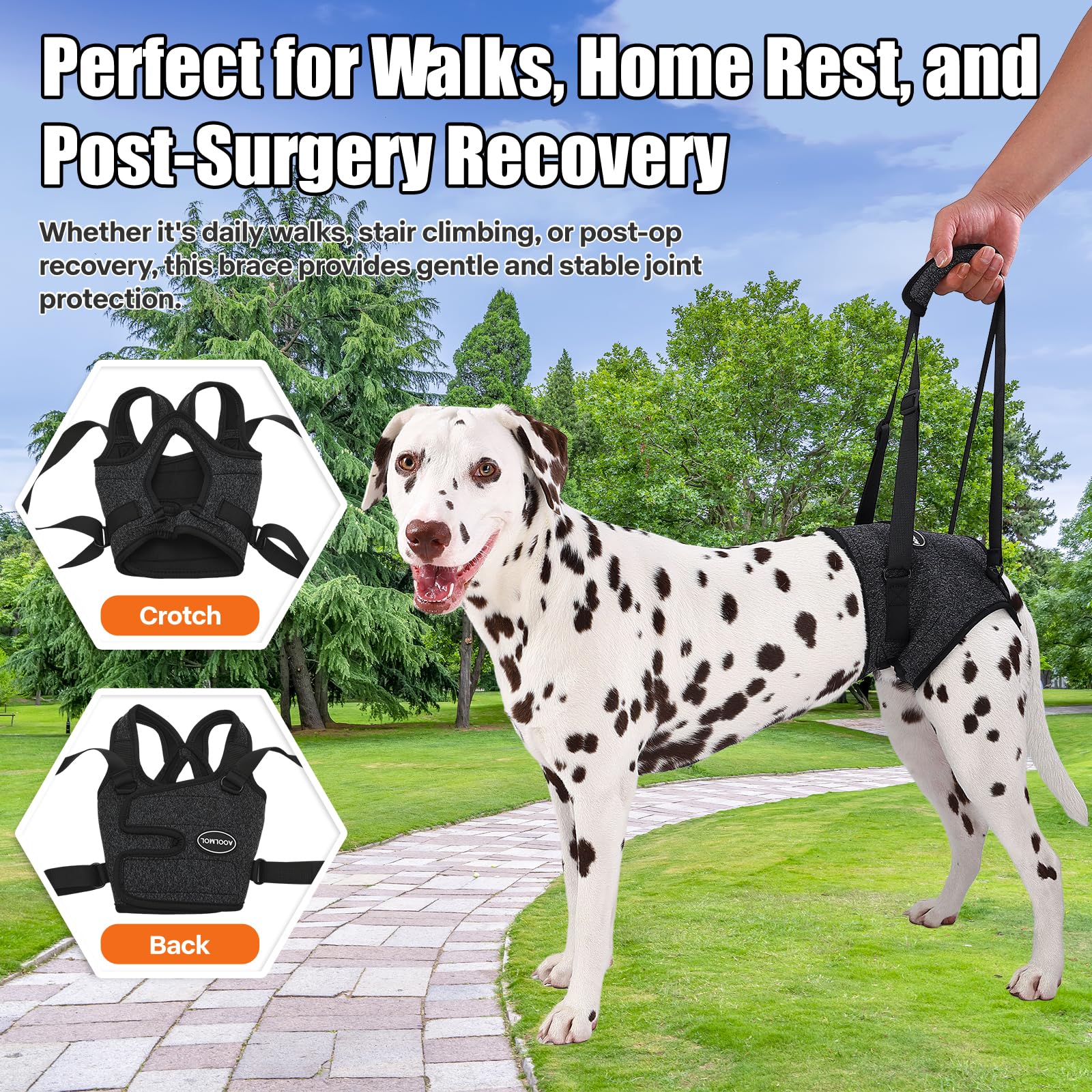 AOOLMOL dog sling toilet groove enables quick relief without removing harness