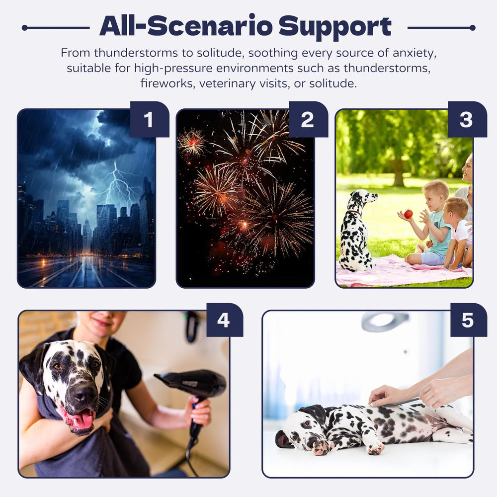 AOOLMOL thunder jacket for dogs shown during loud events and fireworks.