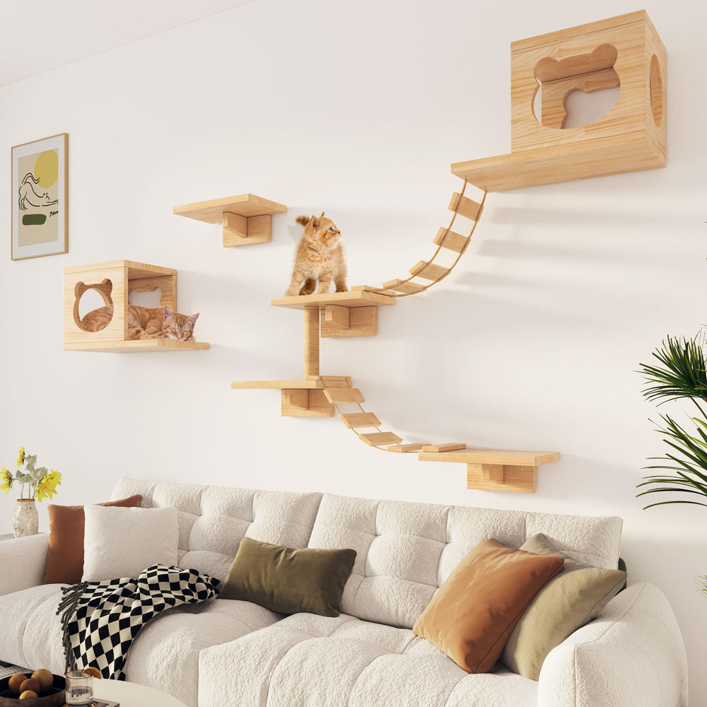 Aoparts PETKABOO cat wall climber ready for climbing and lounging in tight spaces.
