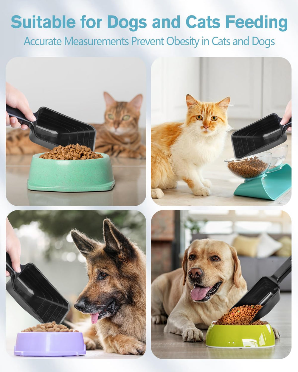 Aosnare 2Cup dog food scoop multi-use can measure rice, coffee beans, and more.