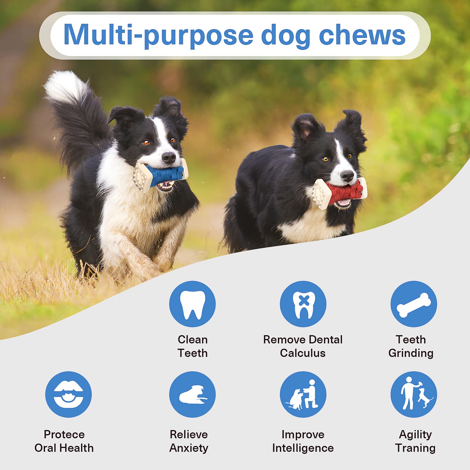 AOZOOM size-inclusive dog toy suitable for small to large breeds.
