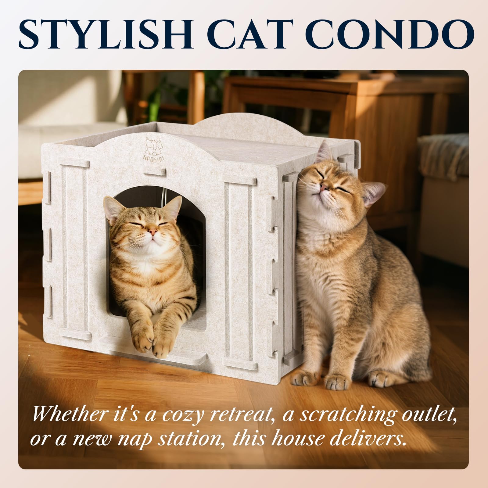 Apasiri anxious-cat retreat shows enclosed space muffling noise for tranquil naps