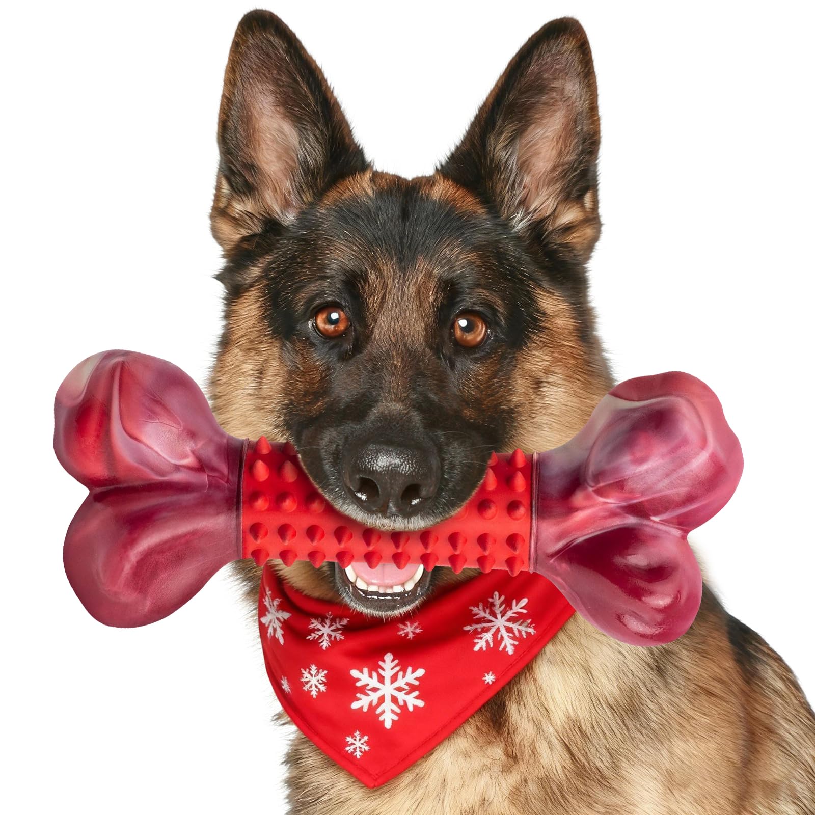 Apasiri beef flavor 8in bone front view shows durable chew for aggressive chewers