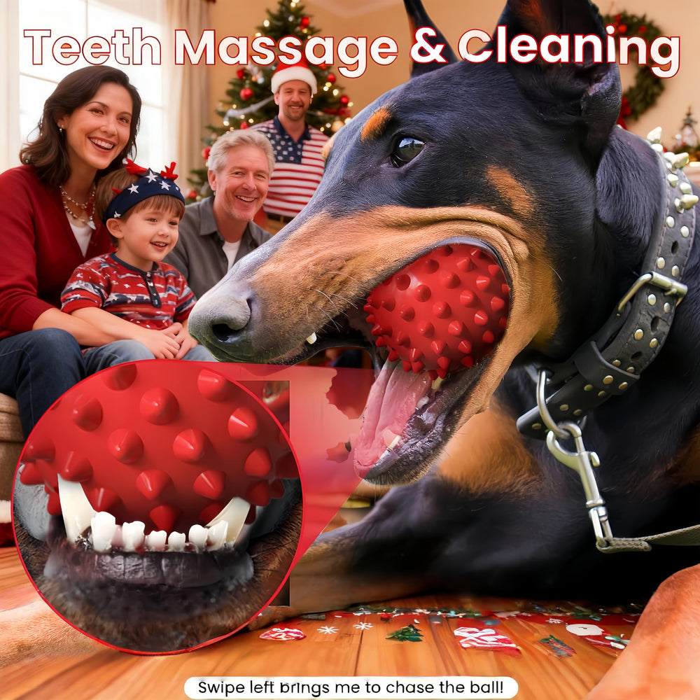 Apasiri 15mm-thick rubber: extra durable for aggressive chewers