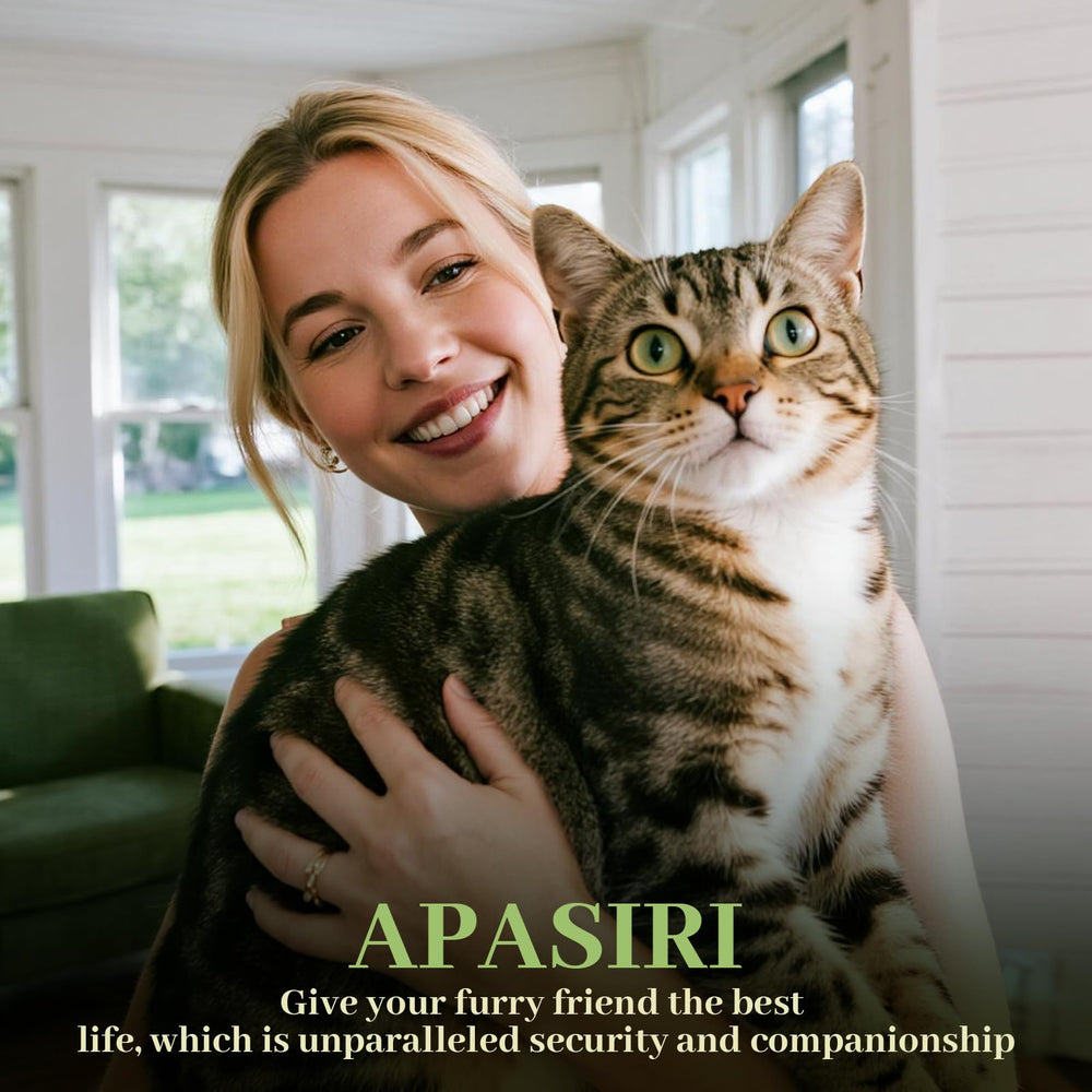 Apasiri cat house castle-inspired design adds room decor charm.