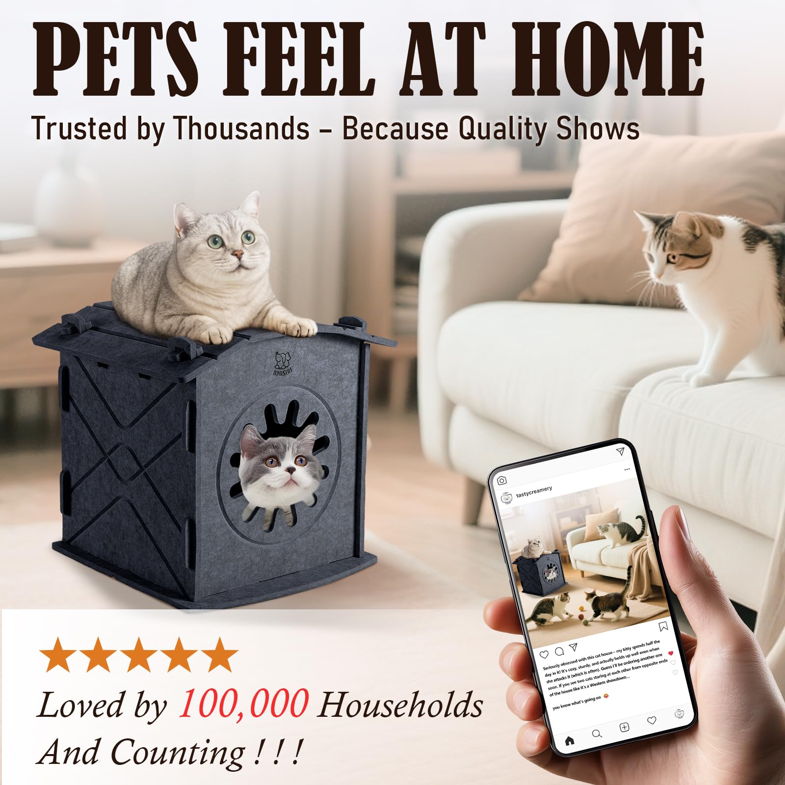 Apasiri Cat House hidden cable hole enables warmer winter setups