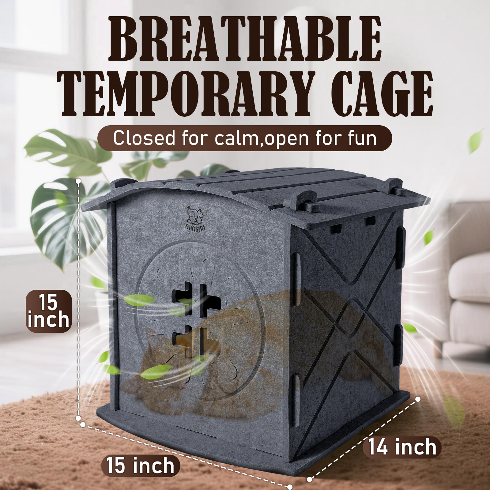 Apasiri Cat House multi-cat use shows top lounge and inside retreat