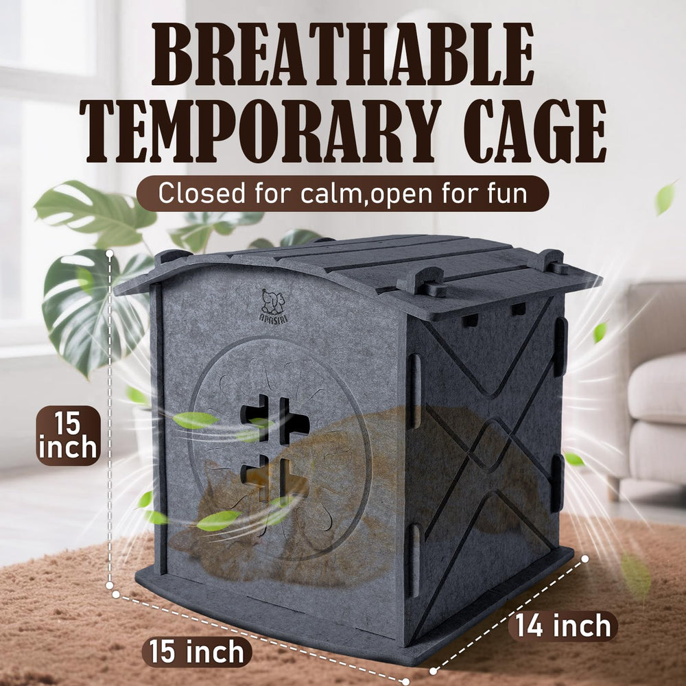 Apasiri Cat House multi-cat use shows top lounge and inside retreat