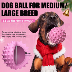 Apasiri durable rubber dog ball withstands aggressive chewers.