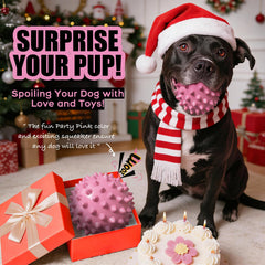 Apasiri dog ball with spike texture for secure chewing grip.