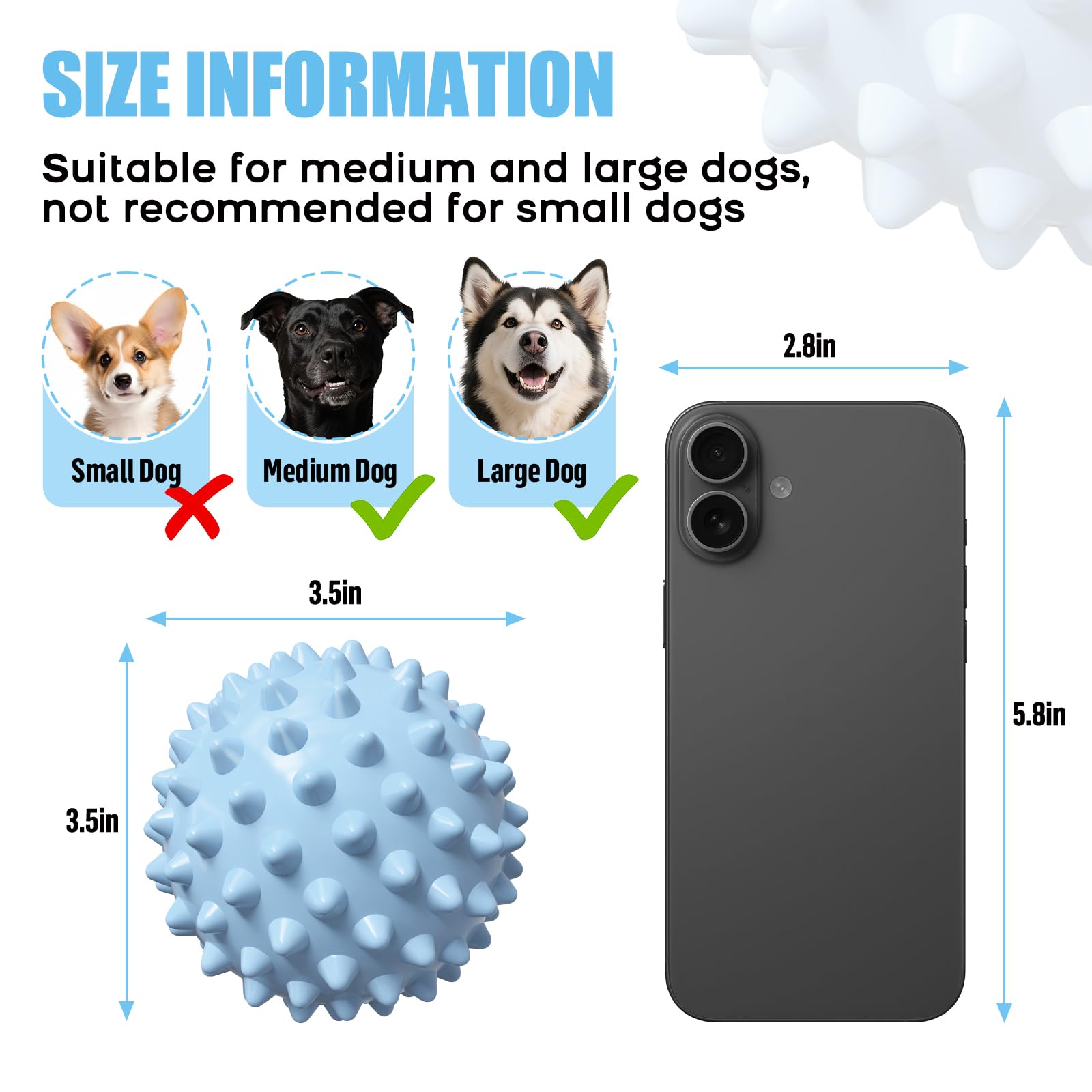 Apasiri blue squeaky ball easy to clean and dishwasher safe after play