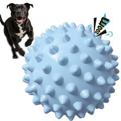 Apasiri squeaky ball blue front view shows 3.5 inch size for medium and large dogs in action