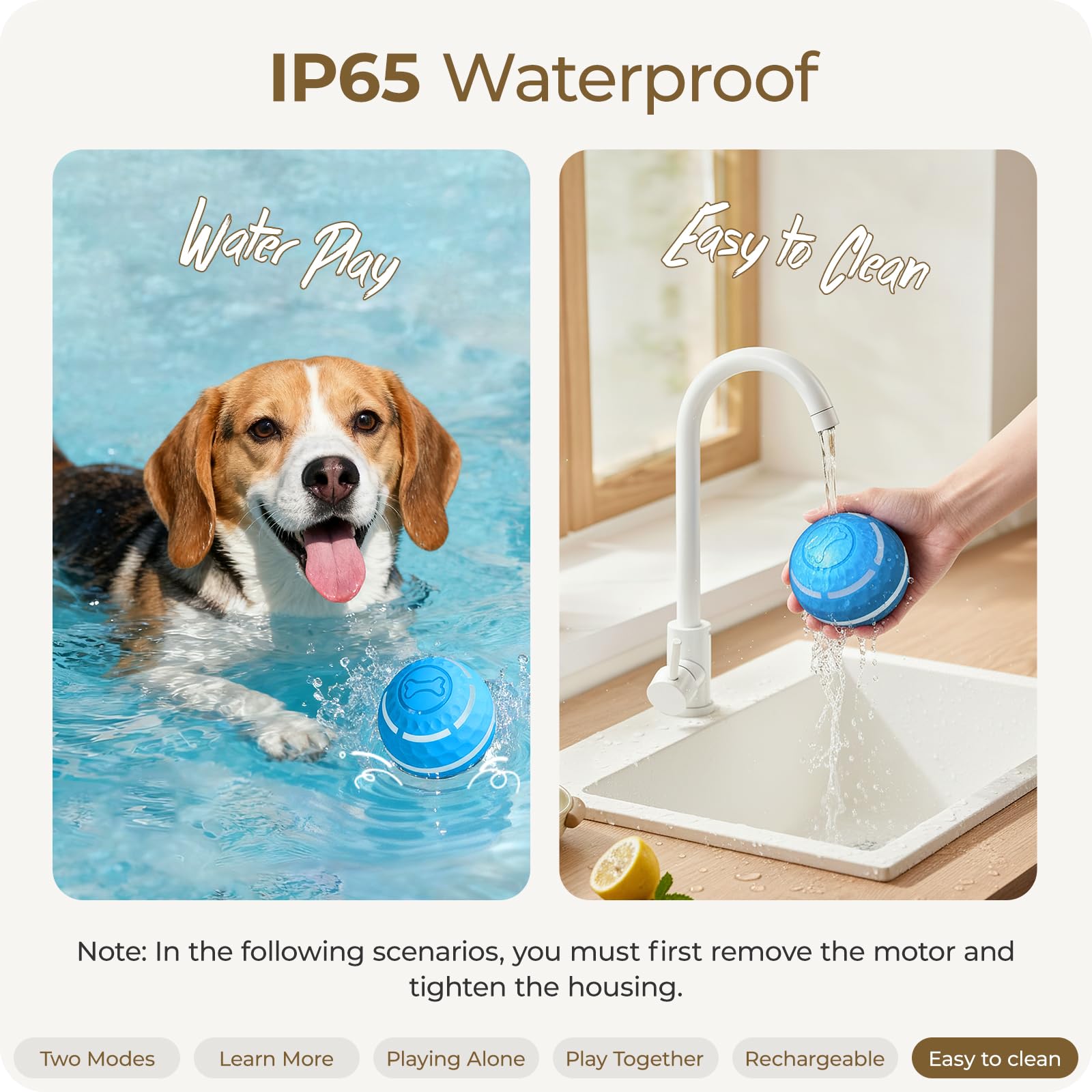 Apasiri Duraspin ball outdoors with dogs showing active play and energy use.
