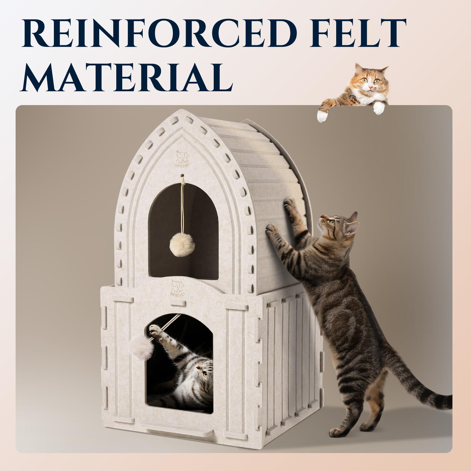 Apasiri multi-cat friendly condo supports cozy spots for multiple small pets.