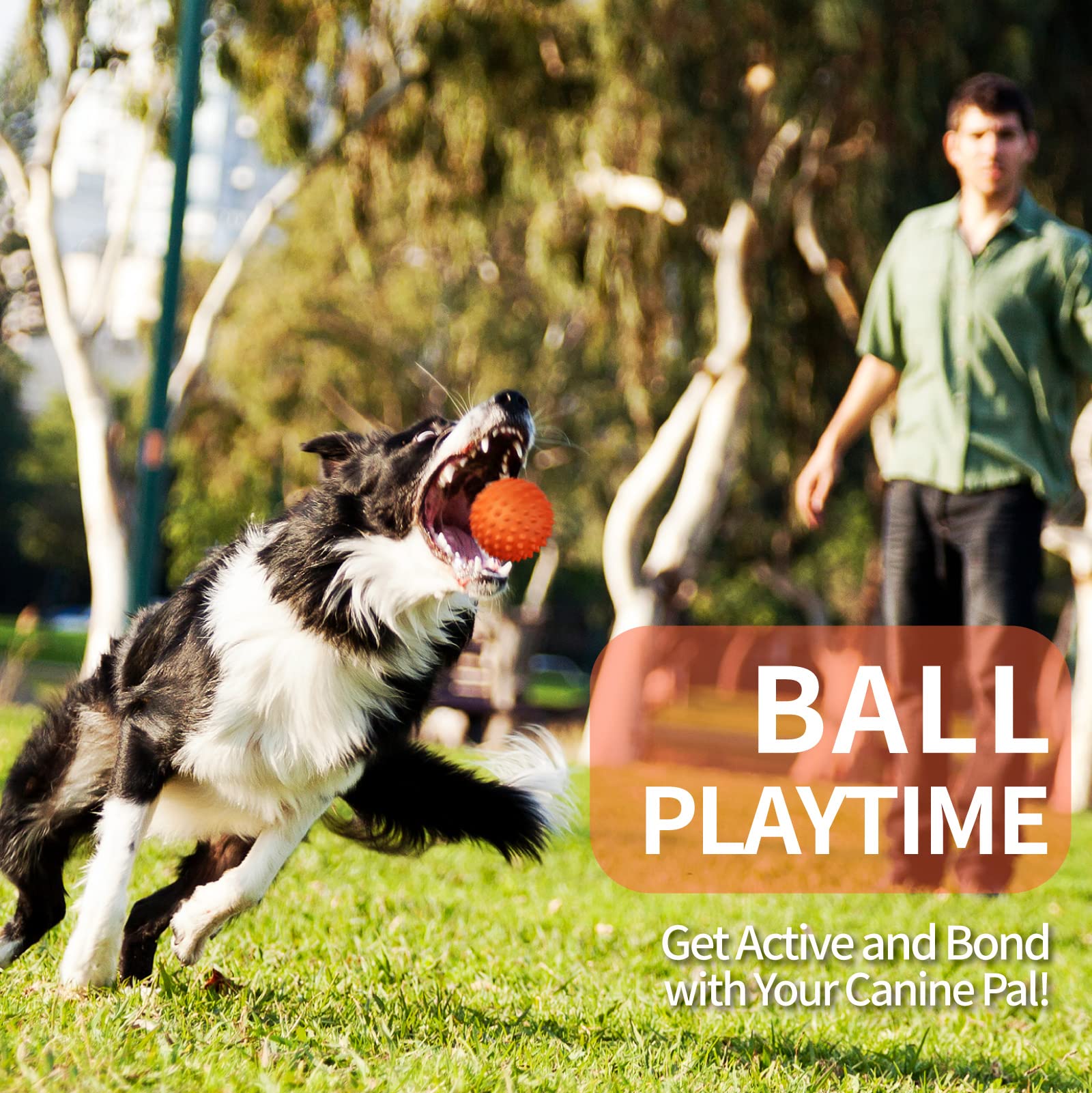 Apasiri peanut-flavor dog ball yard home park shore play companion