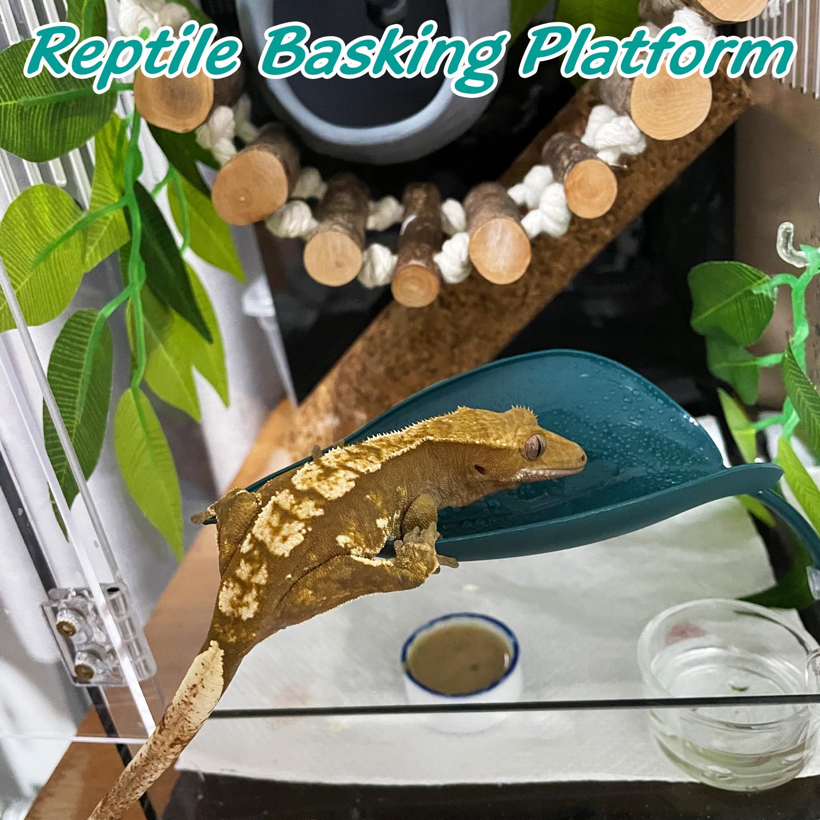 Close-up of Apatal basking platform showing leaf design and safe surface
