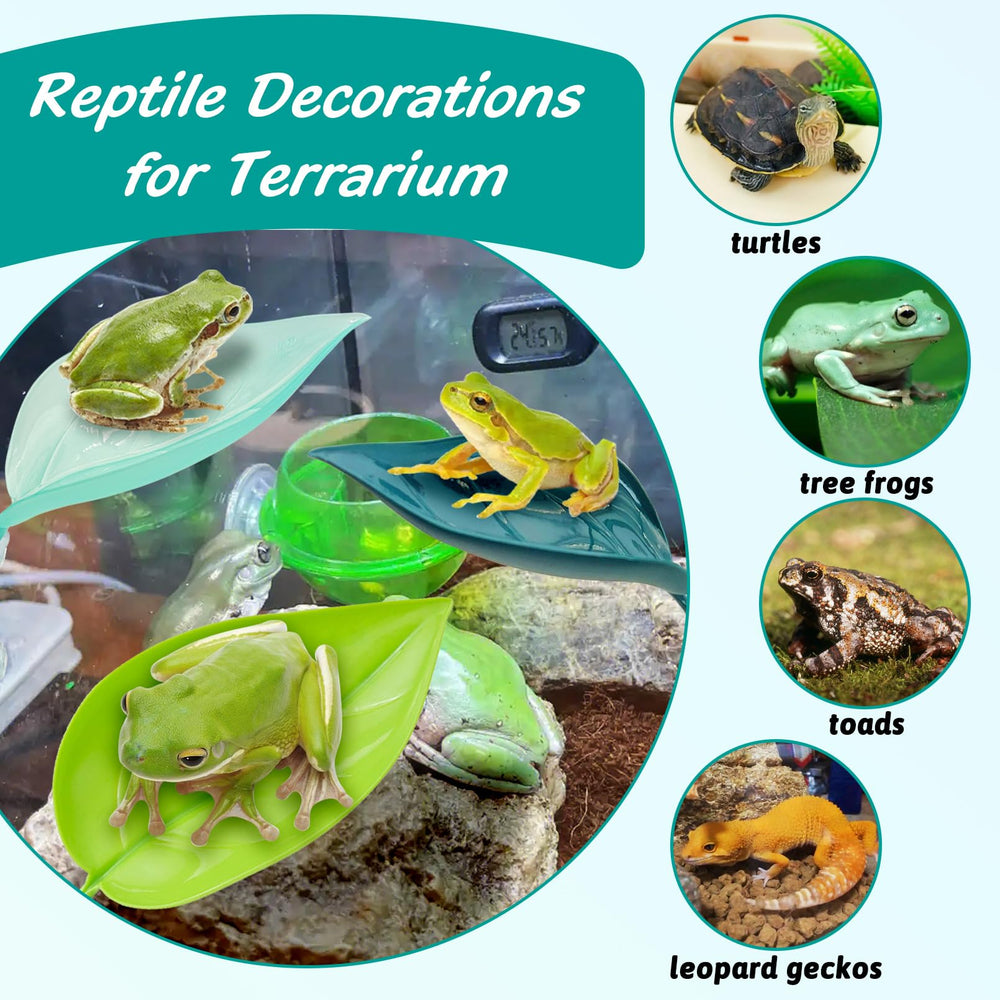 Apatal easy-installation terrarium setup illustrates repositionable platforms