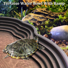 Apatal feeding bowls with steps provide tidy water and food separation