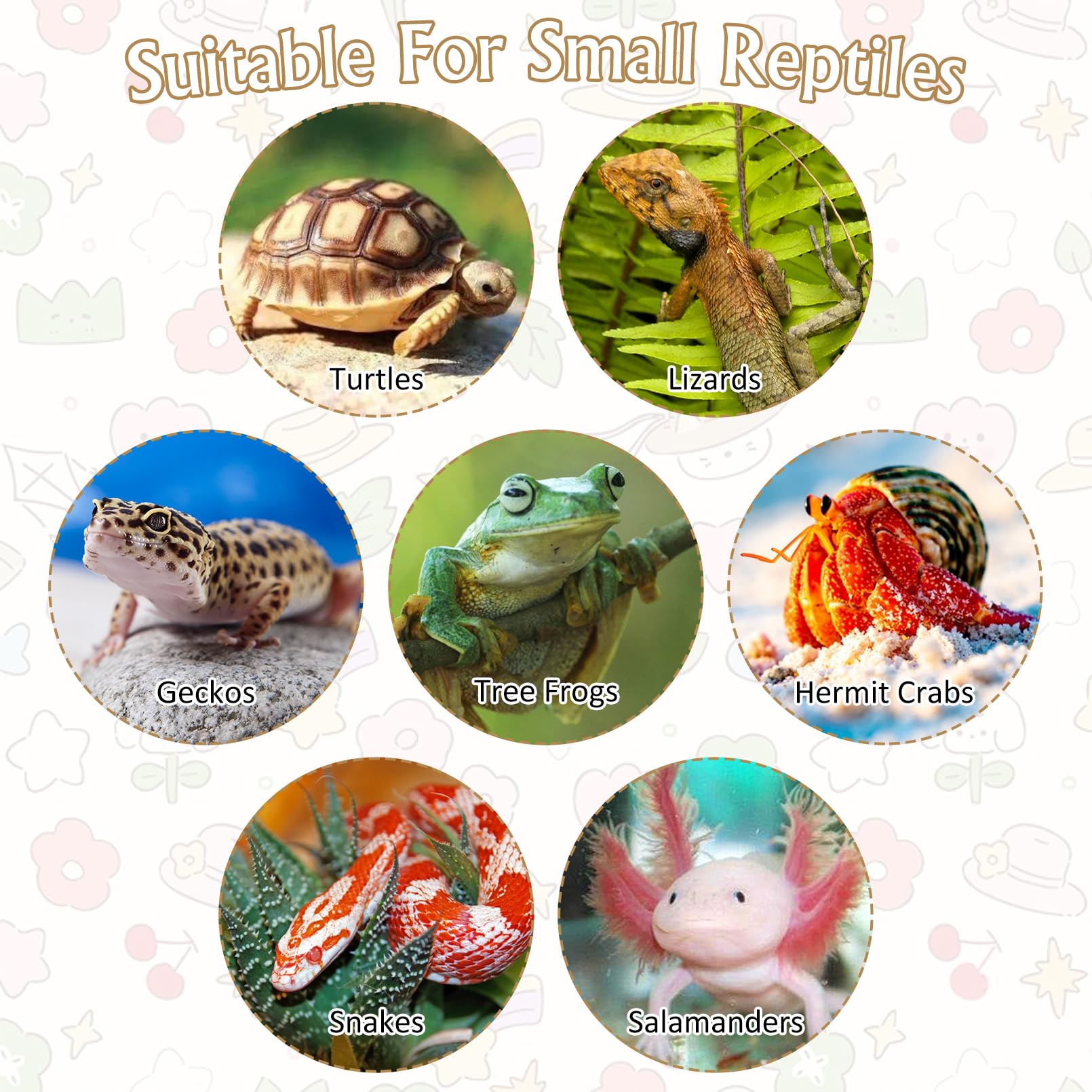 Apatal gecko tank tweezer aids precise feeding.