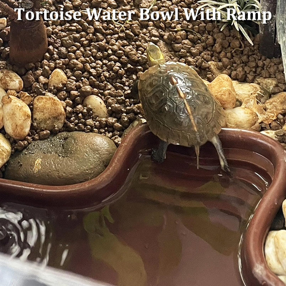 Apatal large reptile feeding bowl with steps designed for meals