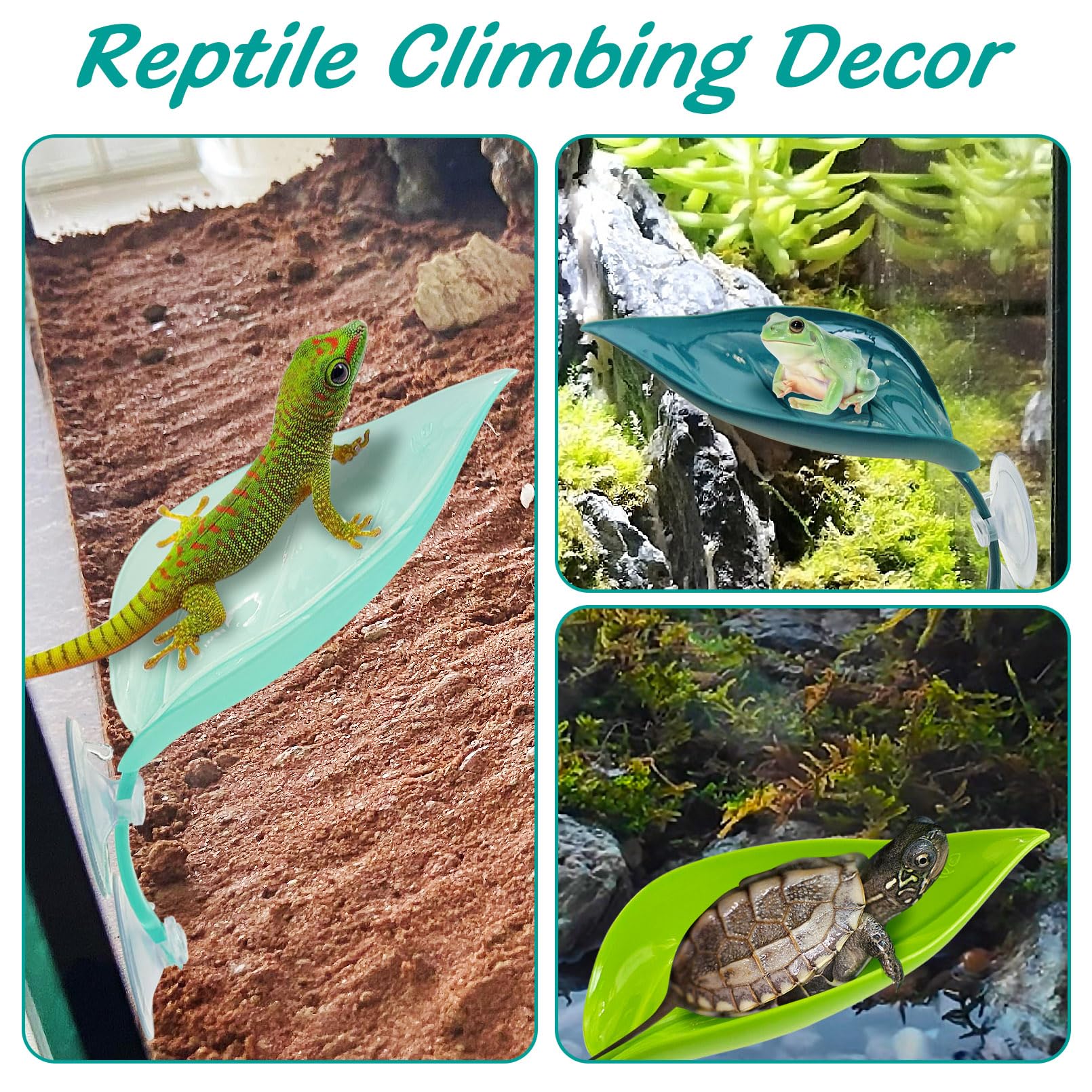 Apatal multi-pet habitat usage supports amphibians and reptiles