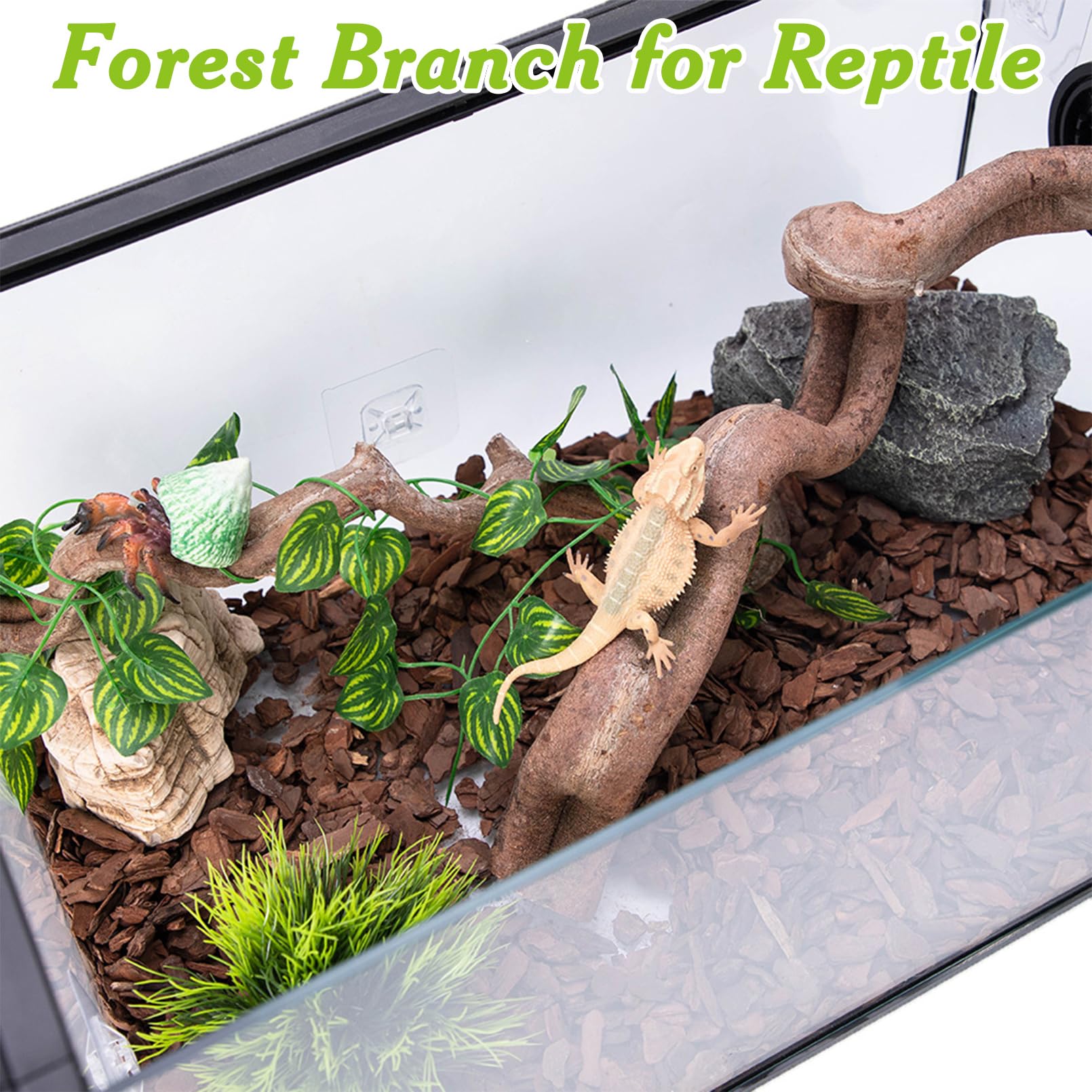 Apatal reptile-branch-enclosure-decor shows versatile decor to enhance habitats